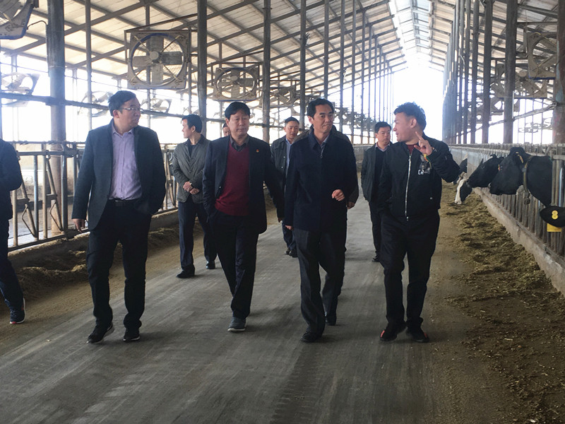 封丘縣縣長王獻(xiàn)臣一行蒞臨 花花牛集團(tuán)養(yǎng)殖、乳品事業(yè)部參觀調(diào)研
