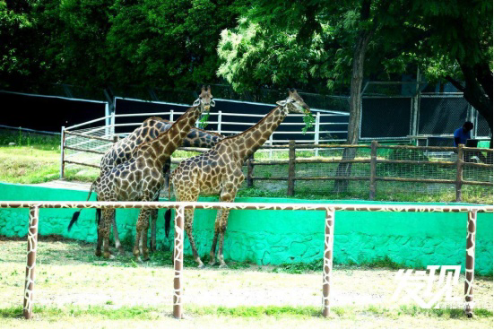 1716350139578543.png?x-oss-process=style/w10 image.png?x-oss-process=style/w10