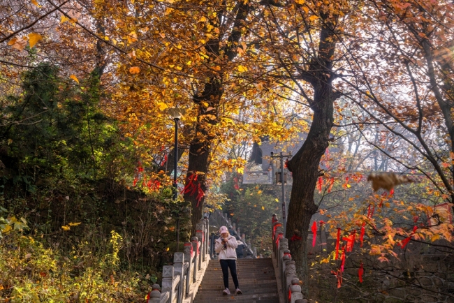 “瞰見秦嶺 詩畫終南”媒體景區(qū)行活動(dòng) 邂逅南五臺(tái)秋韻