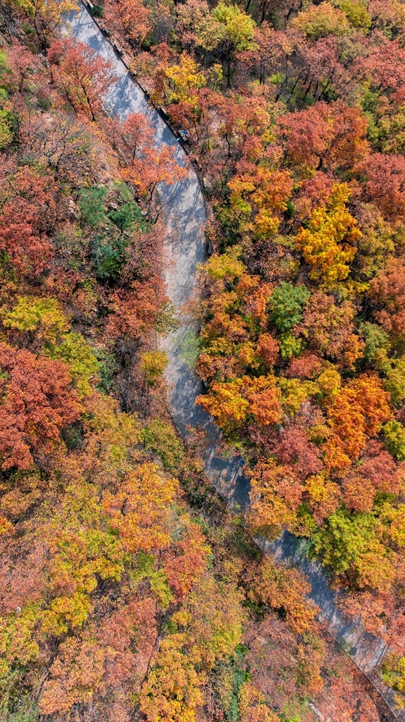 “瞰見秦嶺 詩畫終南”媒體景區(qū)行活動(dòng) 邂逅南五臺(tái)秋韻