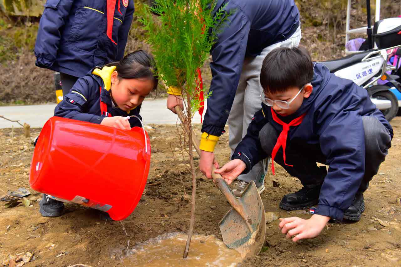 1741744561151108.jpg _JYL7162.jpg