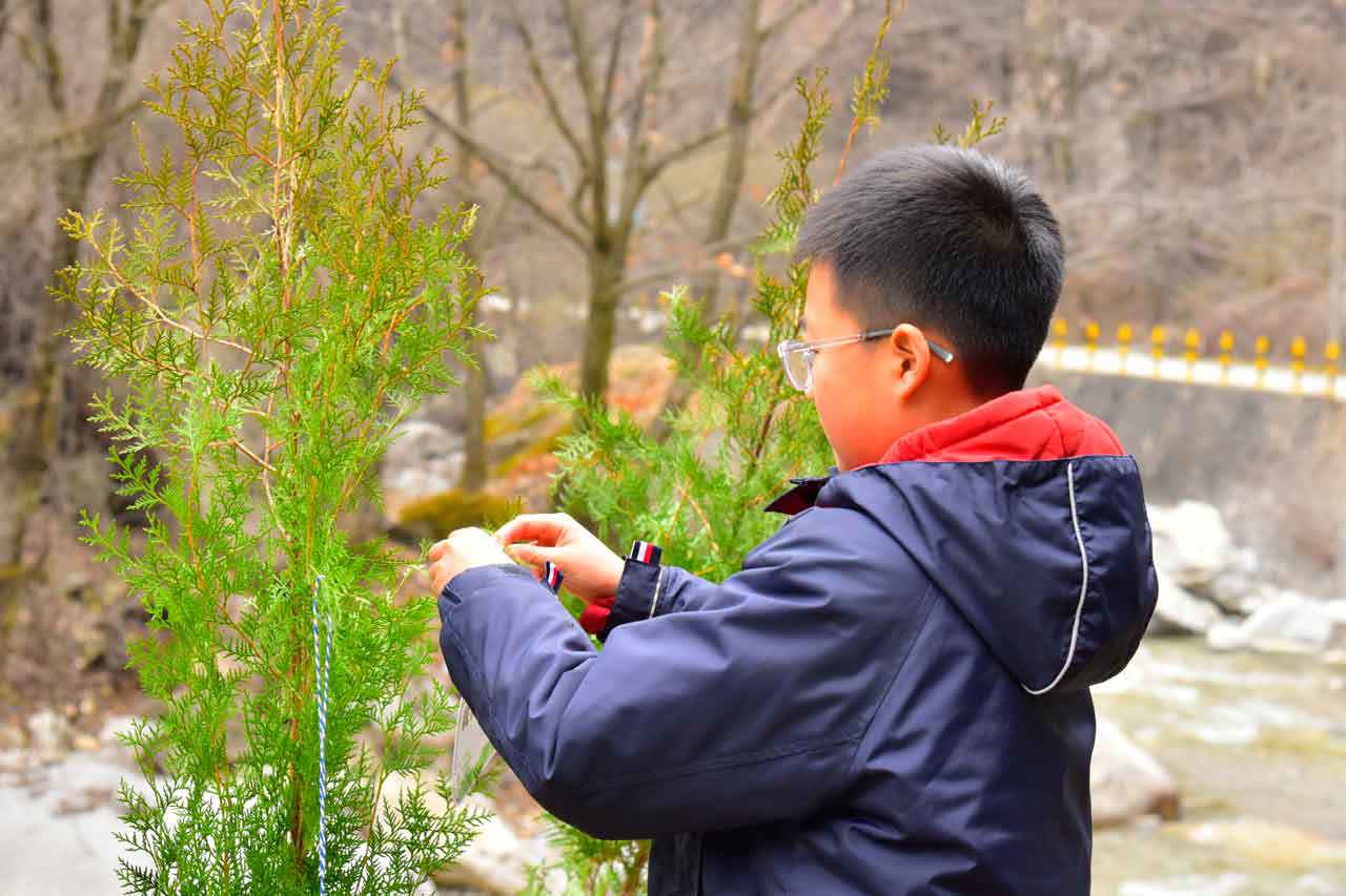 1741744878320991.jpg _LJY6303.jpg