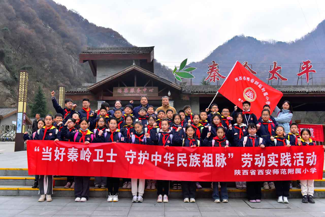 1741744392336760.jpg _JYL6993.jpg